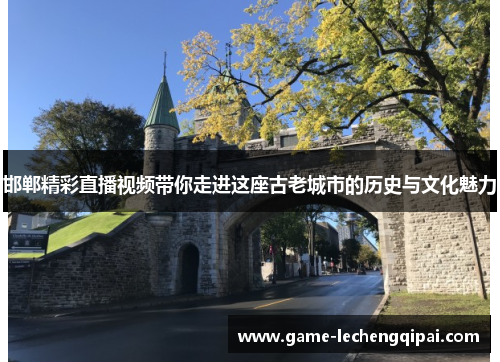 邯郸精彩直播视频带你走进这座古老城市的历史与文化魅力